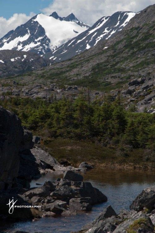 Summertime at the White Pass Summit