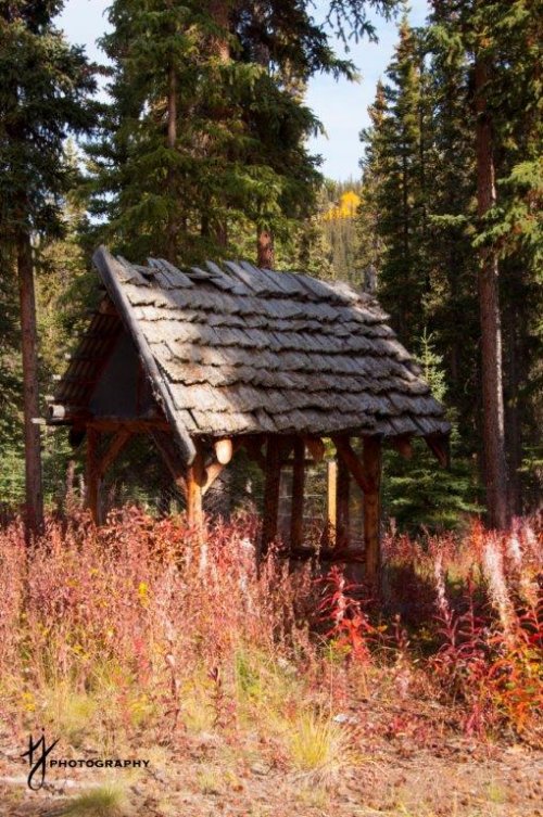 Fall at Coghlan Lake