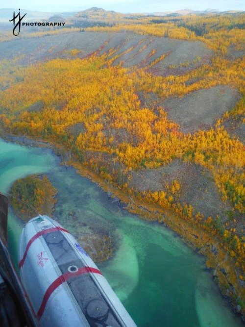 Fall Colours along the Ten Mile Lake