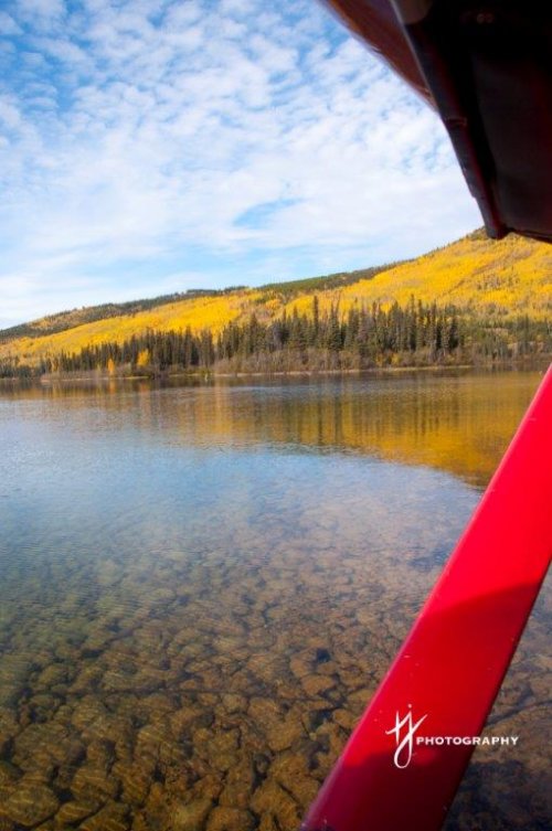 Remote Fly in Fishing Lake