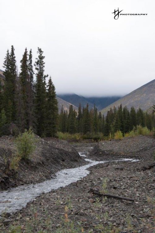 Creek Winding Through Valley in the Yukon