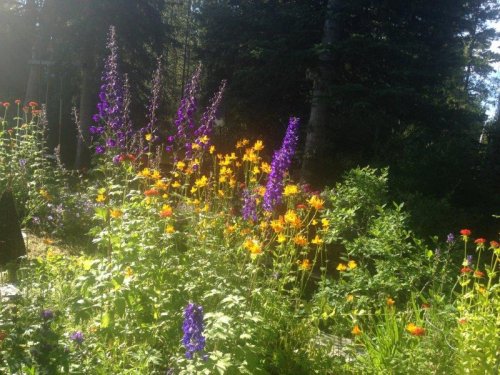 Bountiful Blooms at Hidden Valley B&B