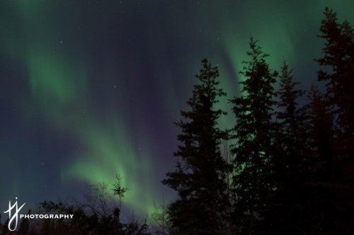 Whitehorse Northern Lights