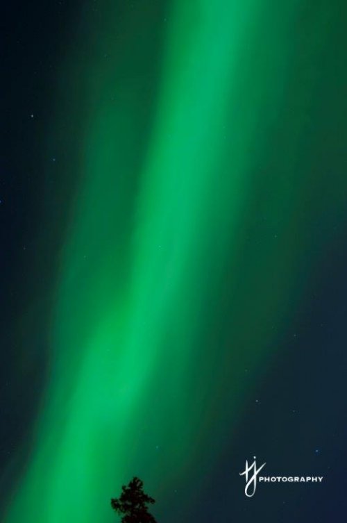 Yukon Northern Lights