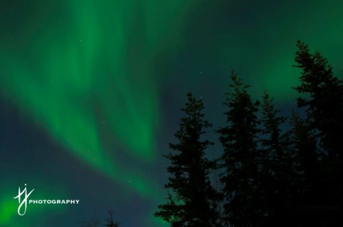 Northern lights in the Yukon