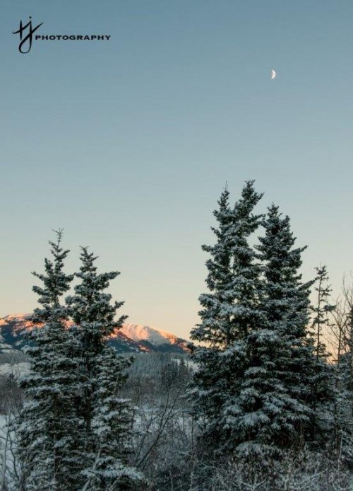 Sunsets on Grey Mountain, Yukon