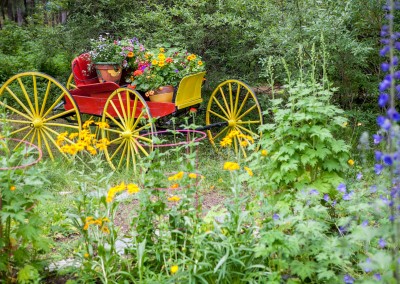 Antique wagon at Hidden-Valley-BB-1600px