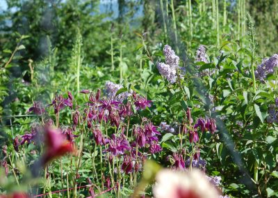 Hidden Valley Bed & Breakfast, Summer Garden, Whitehorse, Yukon