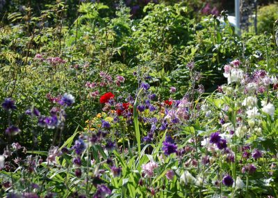 Hidden Valley Bed & Breakfast, Summer Garden, Whitehorse, Yukon