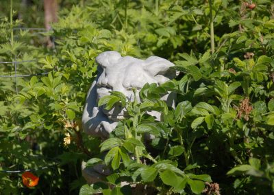 Hidden Gargoyle, Hidden Valley Bed and Breakfast, Whitehorse