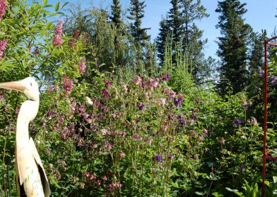 Hidden Valley Bed & Breakfast, Summer Garden, Whitehorse, Yukon