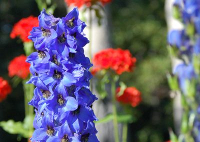 Hidden Valley Bed & Breakfast, Summer Garden, Whitehorse, Yukon