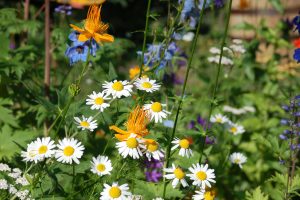 Hidden Valley Bed & Breakfast, Summer Garden, Whitehorse, Yukon