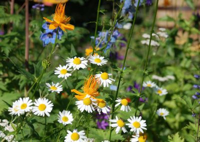 Hidden Valley Bed & Breakfast, Summer Garden, Whitehorse, Yukon