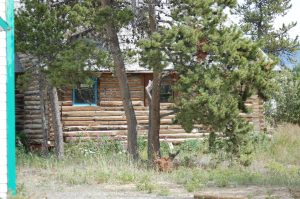 Old Building, Carcross, Yukon