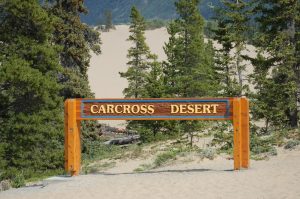 Carcross Desert, Yukon