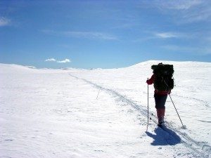 Marsh Lake Ski Loppet, 2017, Yukon