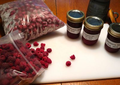 Rasperry bounty. From the garden at Hidden Valley Bed & Breakfast. Whitehorse accommodation. Yukon.