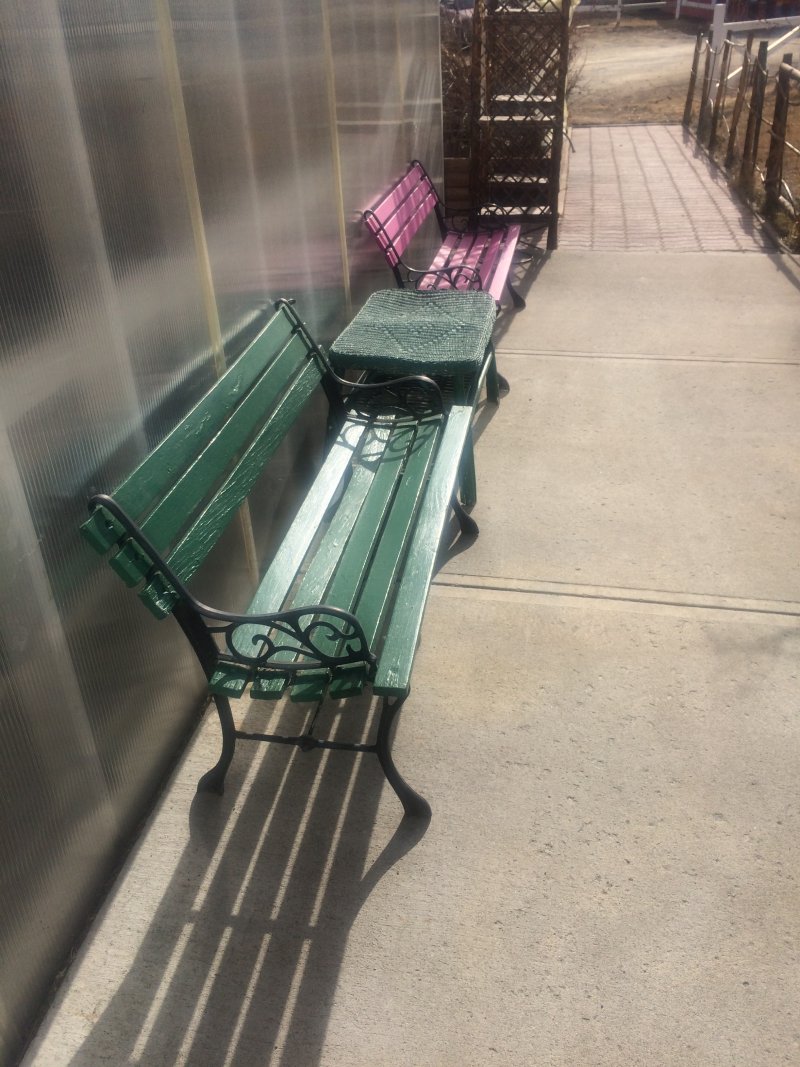 Outdoor benches with new paint