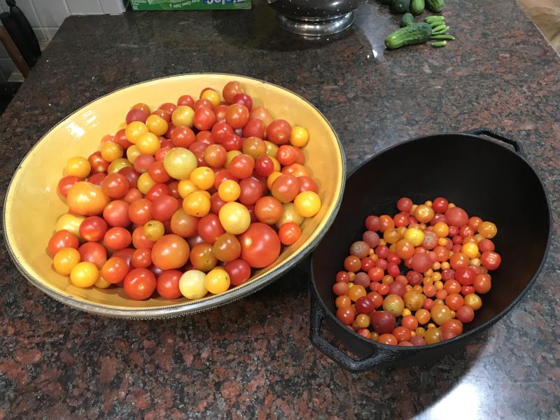 Tomatoes from 2018 Harvest