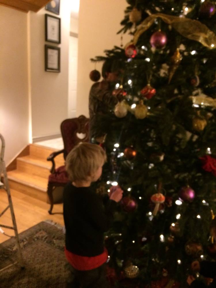 Young Person Decorating the Tree