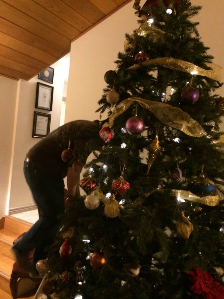 tree decorating at Whitehorse, Yukon B&B