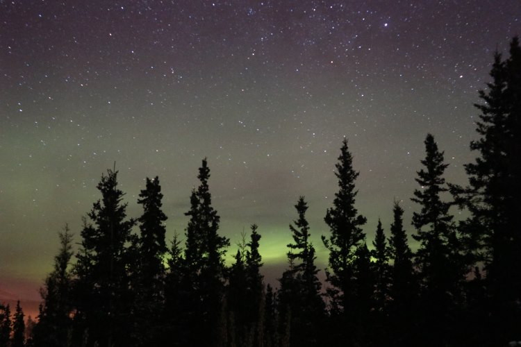 Northern Lights at Hidden Valley B&B